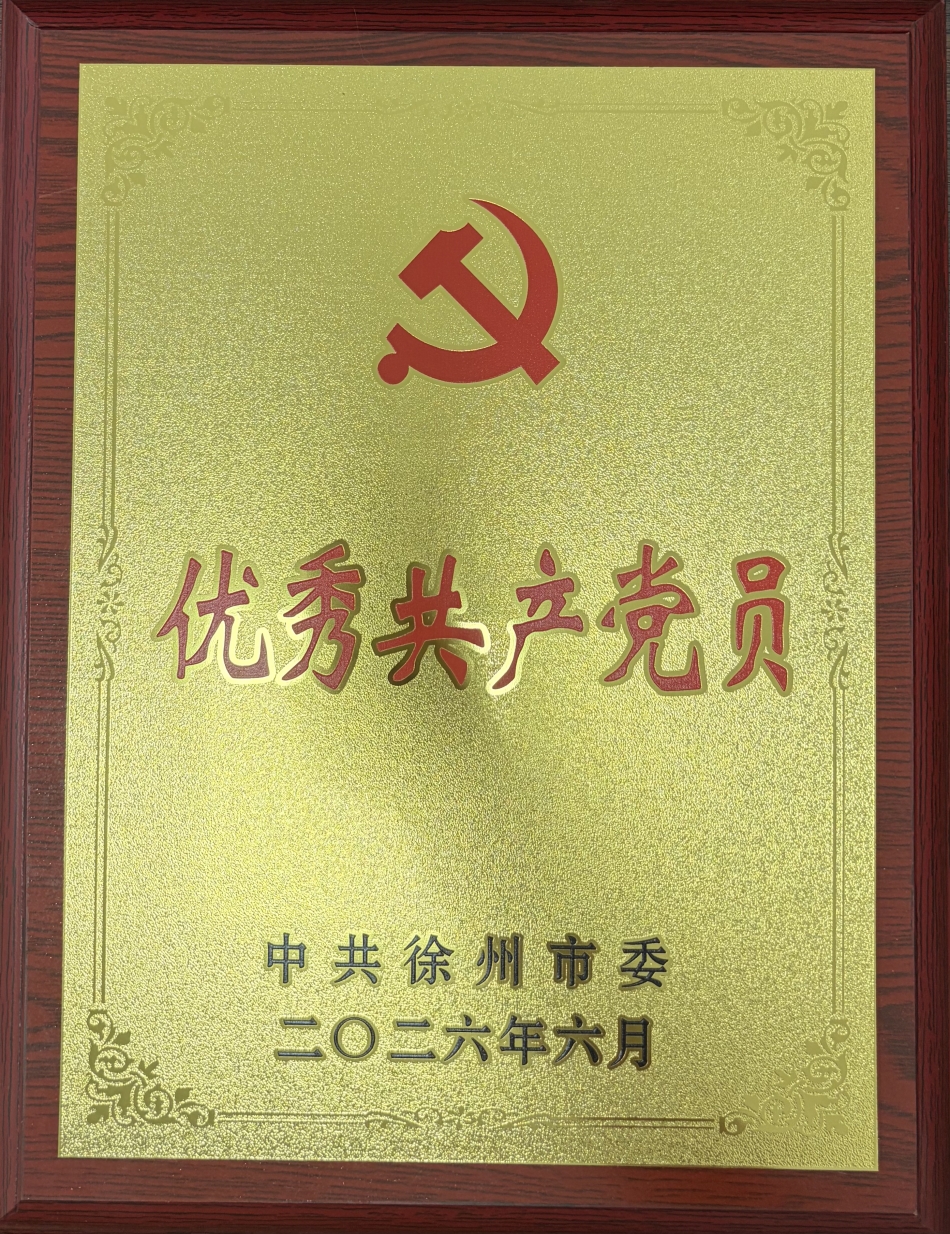 喜报！我校教师、党支部获徐州市“两优一先”表彰